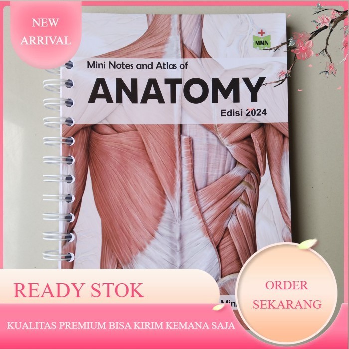 Jual Atlas Of Anatomy MMN Buku Saku Dokter Anatomi Tubuh Manusia - Baru ...