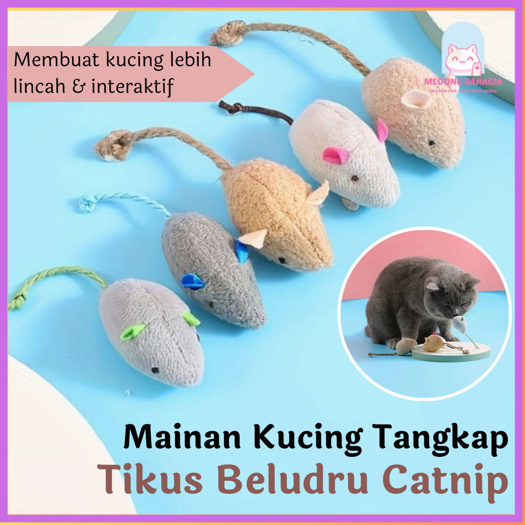 Jual Mainan Kucing Catnip Karakter Tikus Lucu Mainan Hewan Aroma Catnip ...