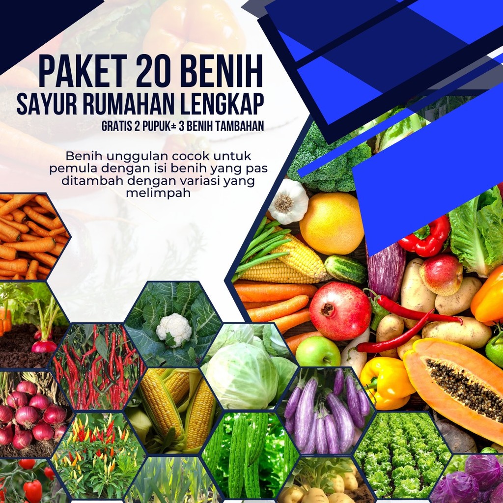 Paket Lengkap20 Jenis Berkebun :  Benih Sayuran Terbaik untuk Hasil Panen Melimpah