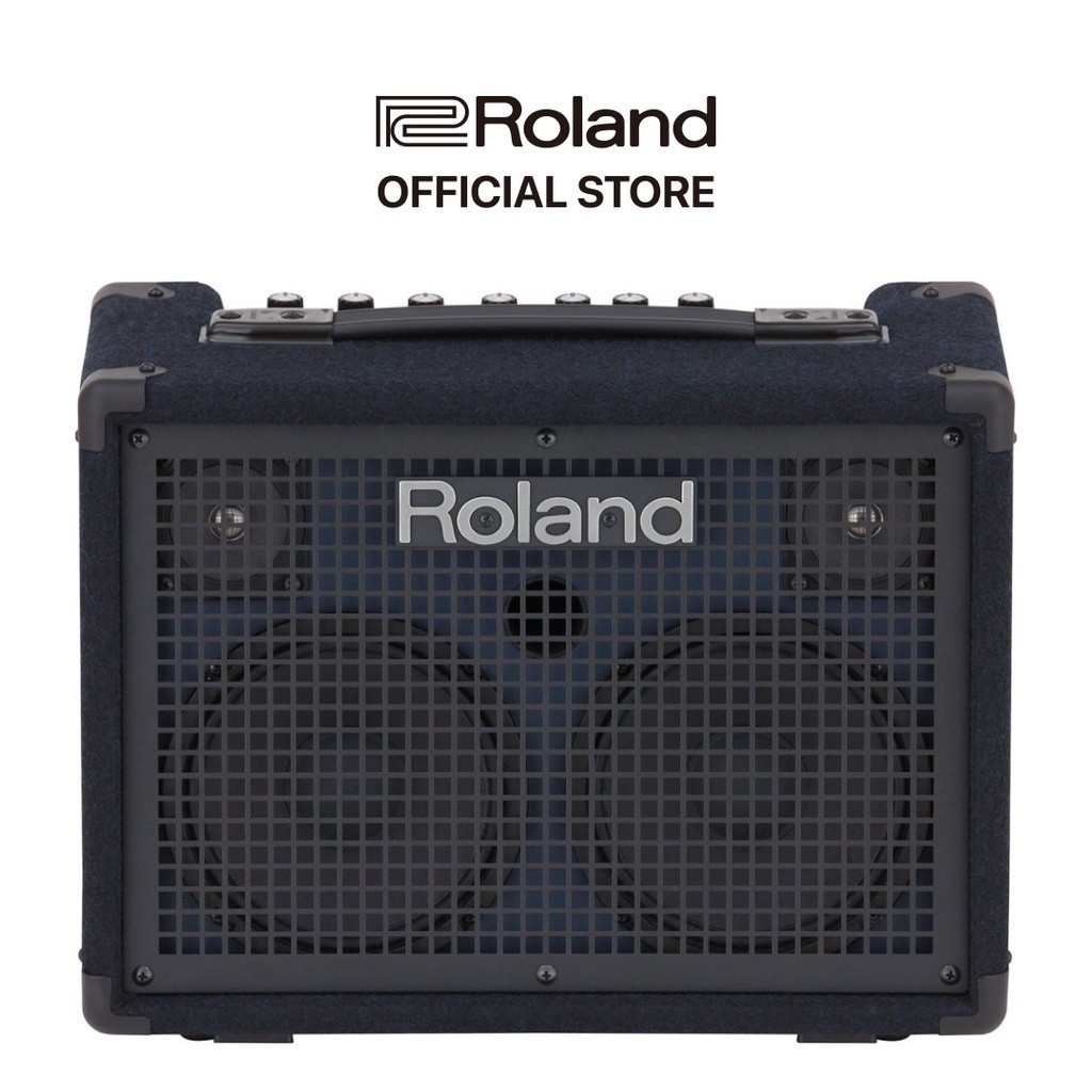 Jual Roland KC220 Battery Powered Stereo Keyboard Amplifier Shopee