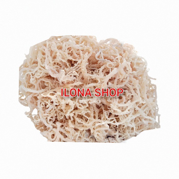 Jual RUMPUT LAUT KERING UNTUK ES 1KG / RUMPUT LAUT PUTIH KERING UNTUK ...