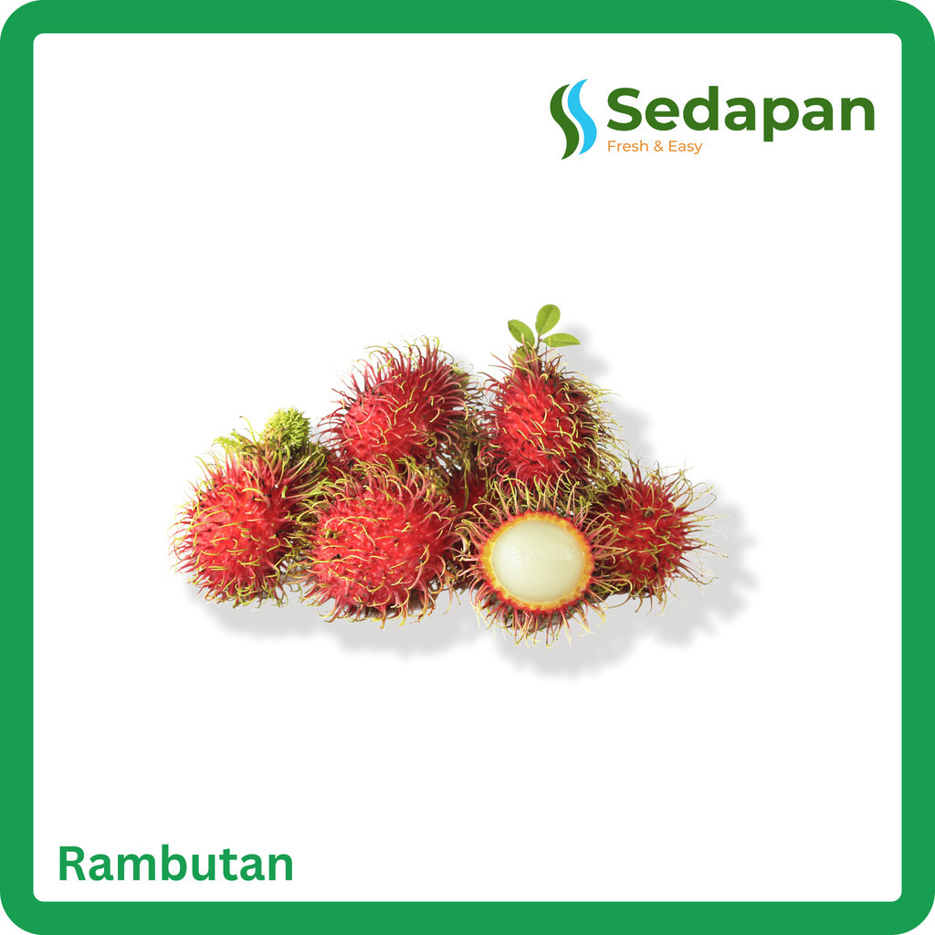 Jual Rambutan | Shopee Indonesia