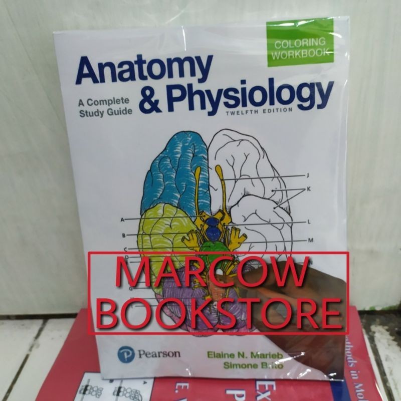 Jual Buku Anatomy & and Physiology Coloring Workbook 12th Edition By