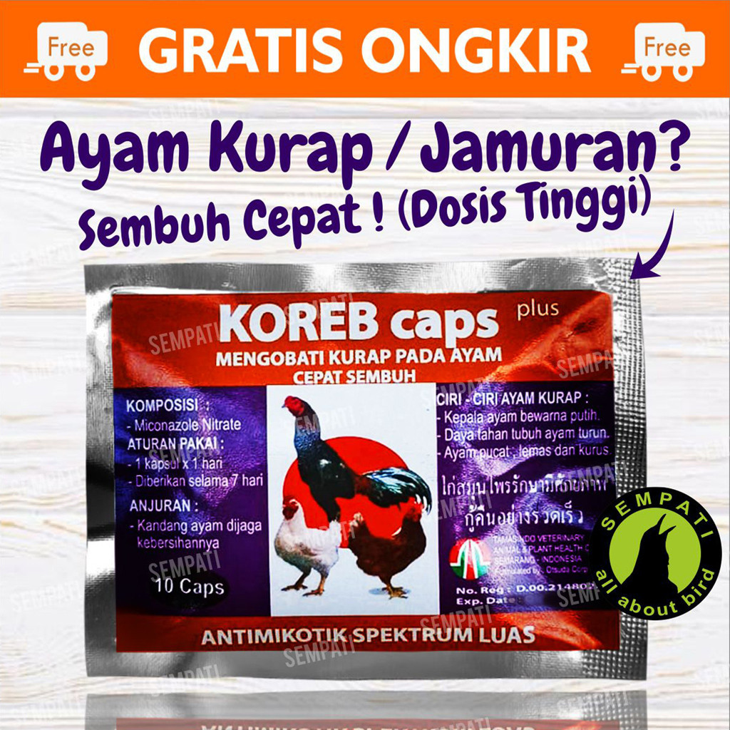 Jual Obat Ayam Sakit Kurap Koreb Caps Plus Capsul Obat Ayam Pucat Lemas Kurus Atasi Ayam