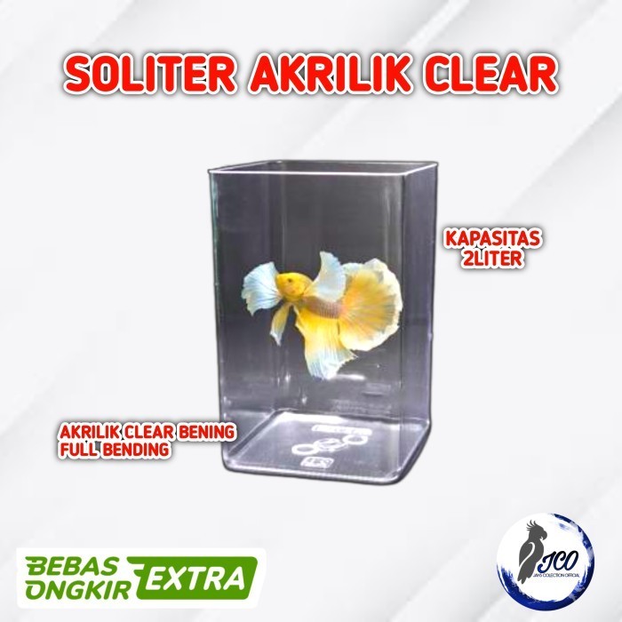 Jual Soliter Akrilik Cupang Aquarium Akrilik Full Bending Shopee