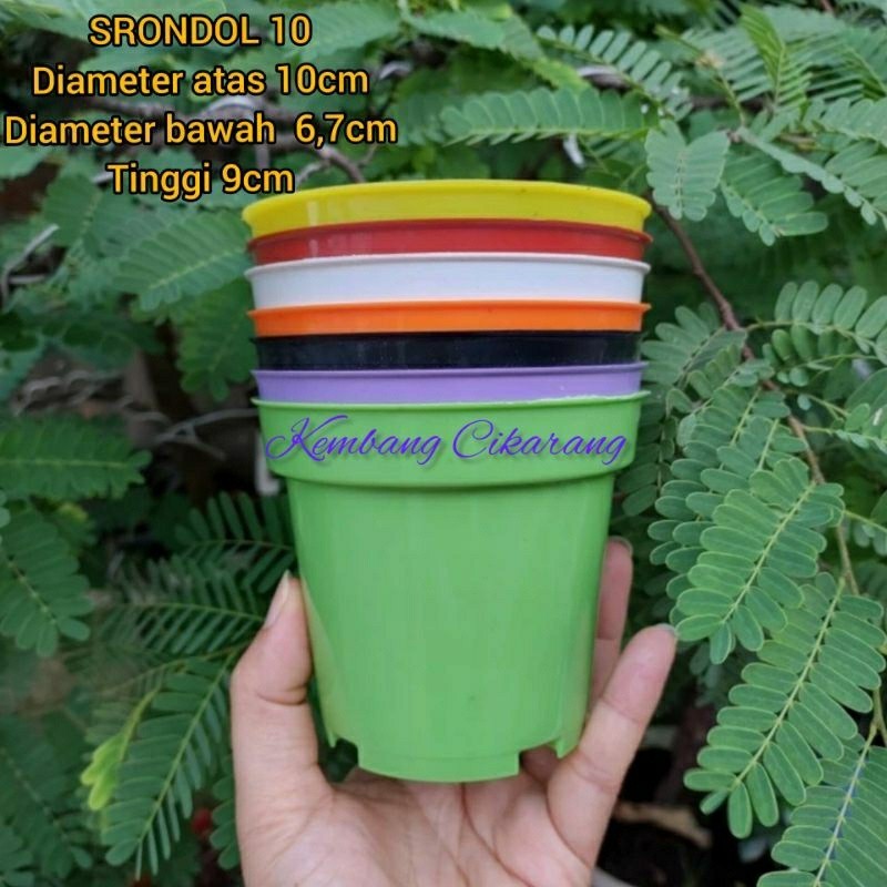 Jual (1pc) GOL SRONDOL 10 (10cm) pot bunga basic tinggi biasa pot