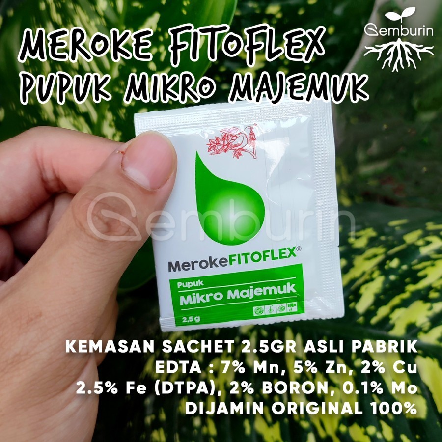 Jual FITOFLEX Pupuk Sachet 2,5 gram Kemasan Pabrik Meroke / Micro ...