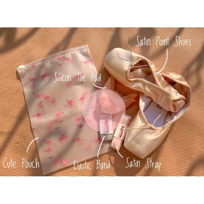 Jual pointe shoes shop