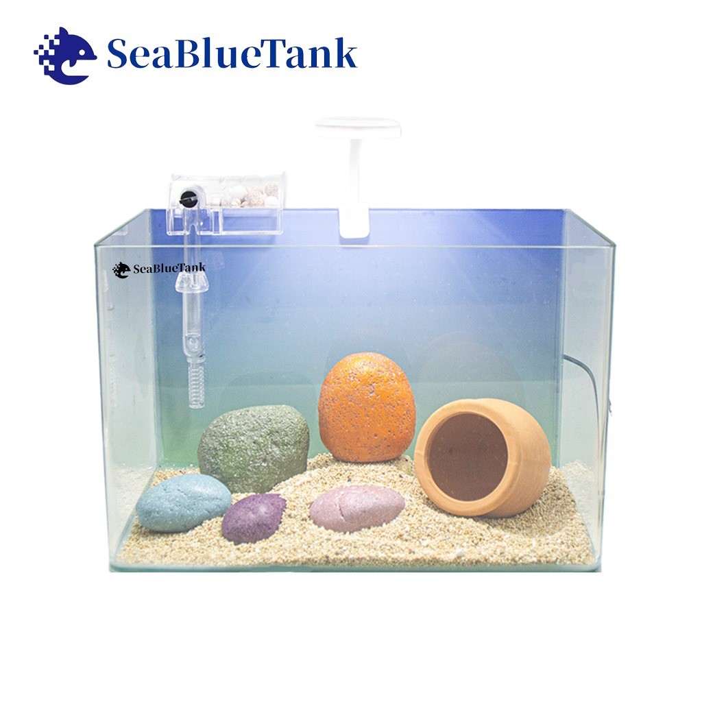 Jual SeaBlueTank - Paket Aquascape AP30 | Shopee Indonesia