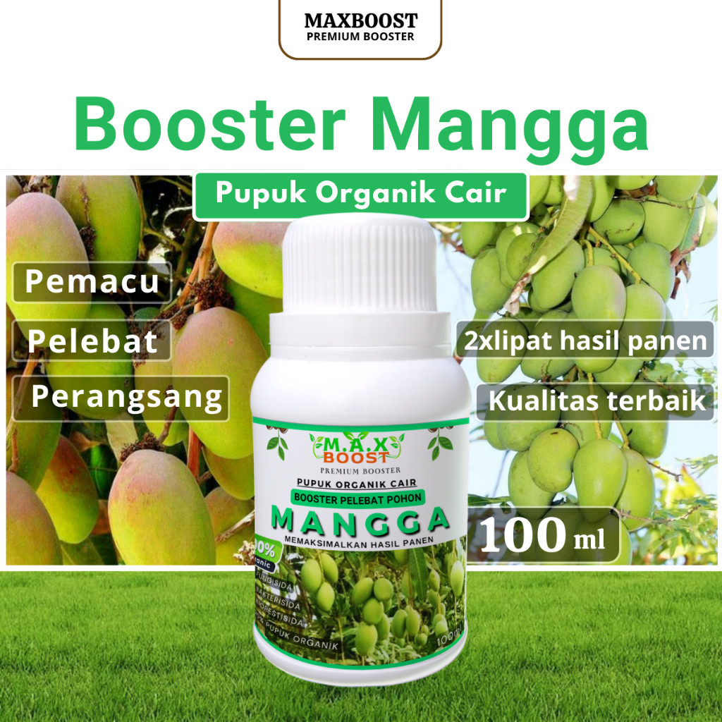 Jual Booster Cair MANGGA, Pupuk Organik Cair Buah Mangga Melebatkan ...