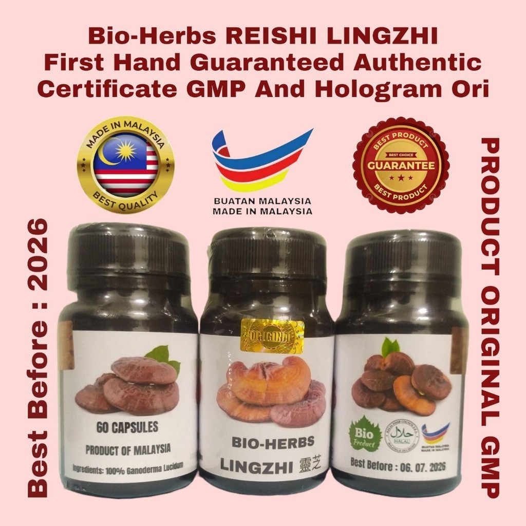 Jual PURE ORIGINAL LINGZHI REISHI GANODERMA LUCIDUM EXTRACT BIO HERBS ...
