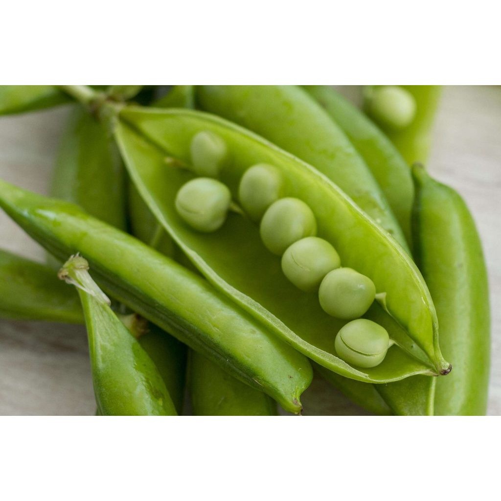 Jual Edamame 500 gram - Defa Fresh Market | Shopee Indonesia