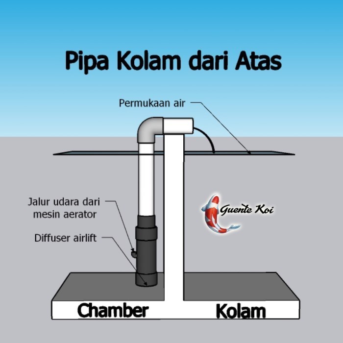 Jual LARIS Airlift Kolam Koi ukuran pipa 3 ke 2 inch Shopee Indonesia