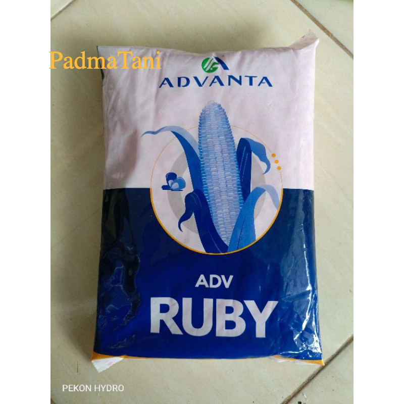 Jual BENIH JAGUNG ADVANTA RUBY ADV KEMASAN 1 KG | Shopee Indonesia