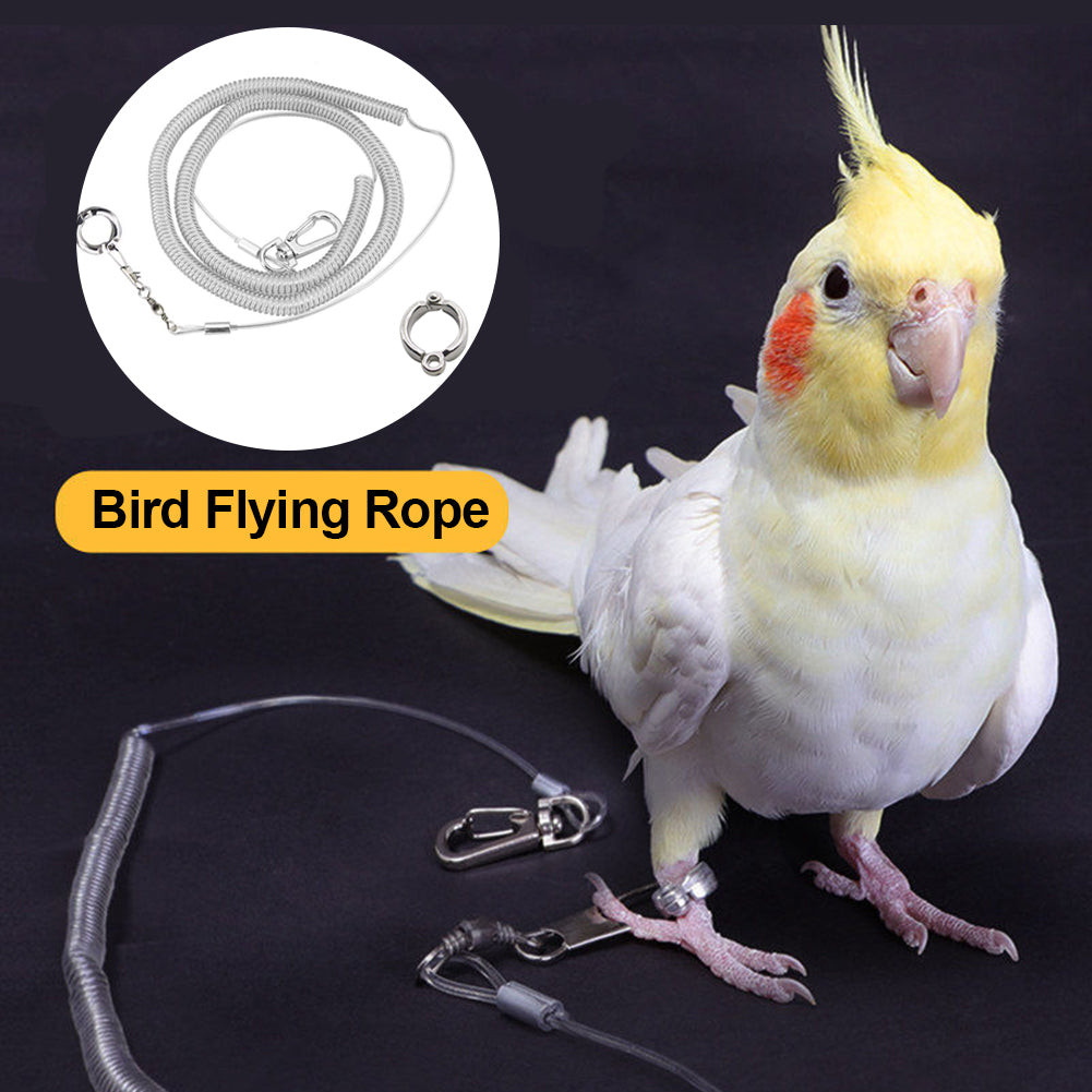 Jual 3M/6M Parrot Bird Flying Training Leash Ultra-light Flexible Rope ...