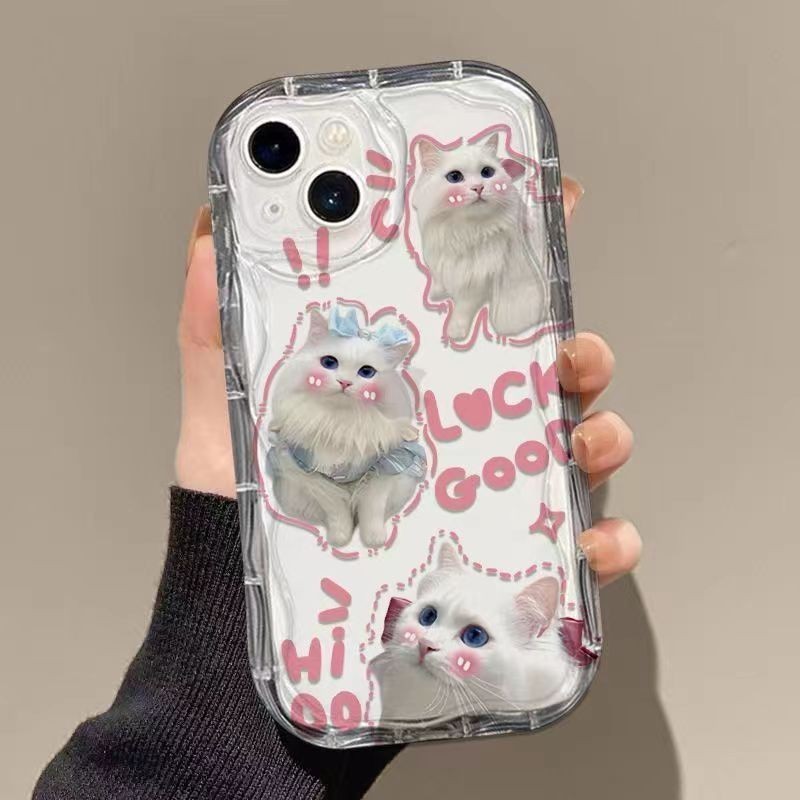 Jual Casing Transparan iPhone 11 12 13 14 15 Pro Max Ragdoll X XR XS ...