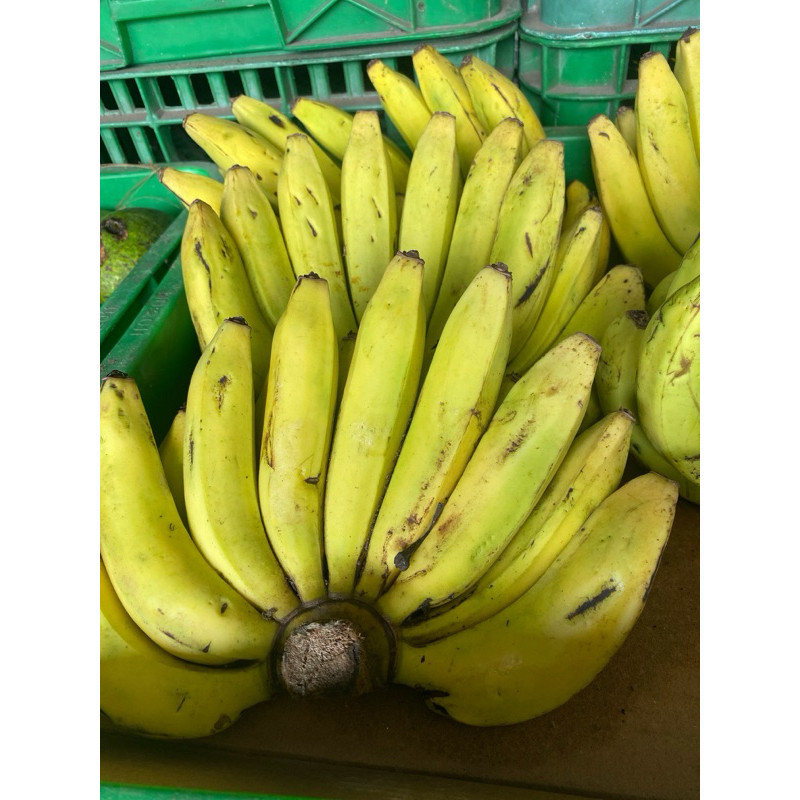 Jual Pisang Ambon Terlengkap & Harga Terbaru Juli 2026 | Shopee Indonesia