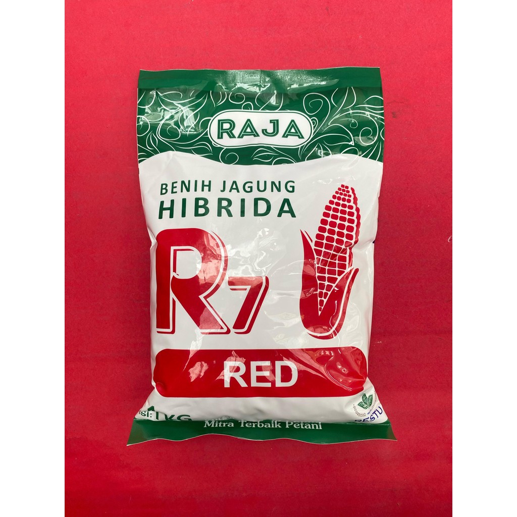 Jual Benih jagung R7 GOLD ULTIMATE RED UNION isi 1kg hibrida dari RAJA ...