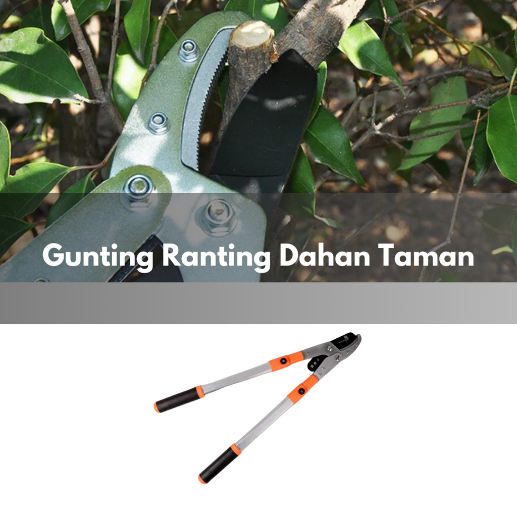 Jual SPCR Gunting Ranting Telescopic Garden Pruning Shear Scissors ...