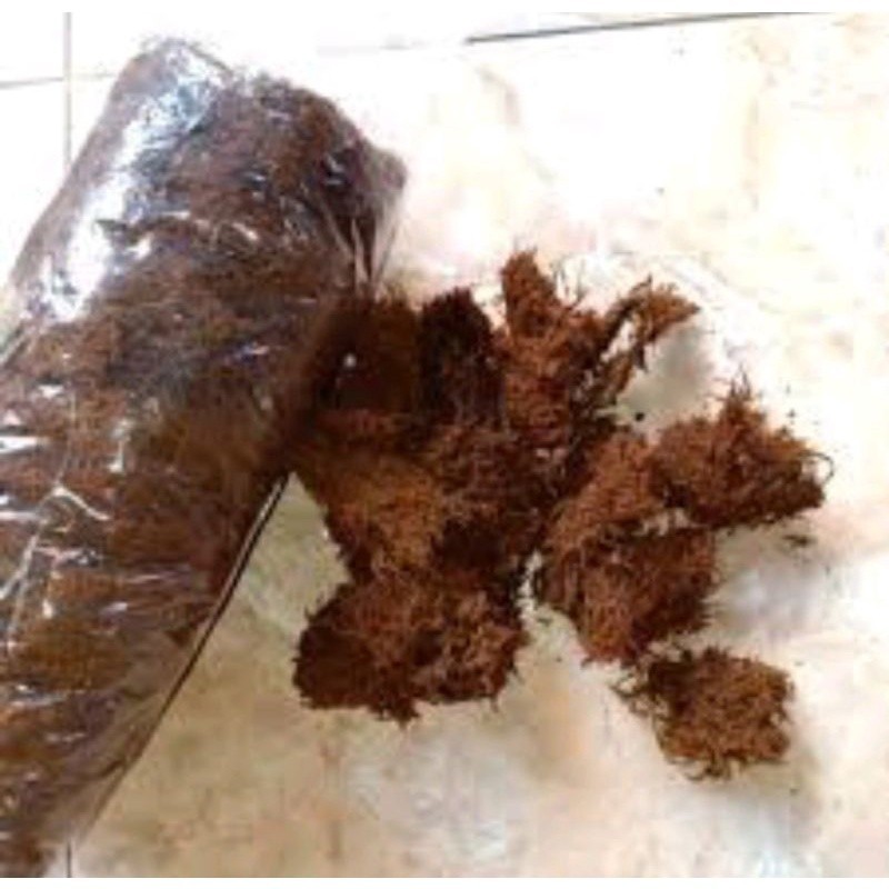 Media tanam mos hitam / akar kadaka 1 kg