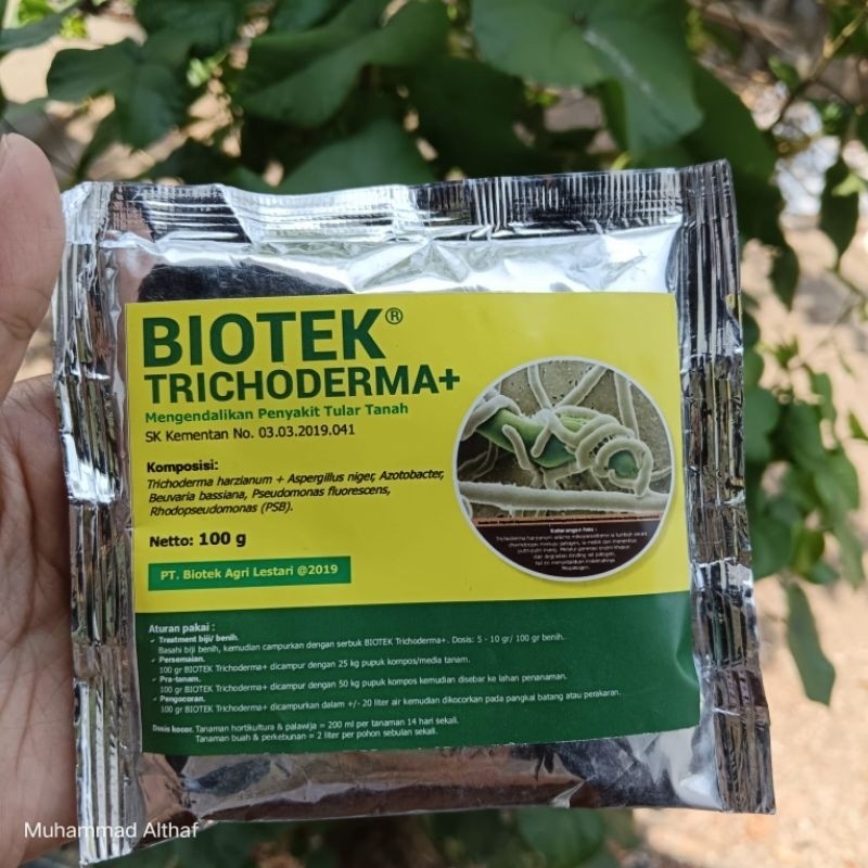 Jual Pupuk Biotek Trichoderma Tricoderma 100 Gram Mengendalikan ...