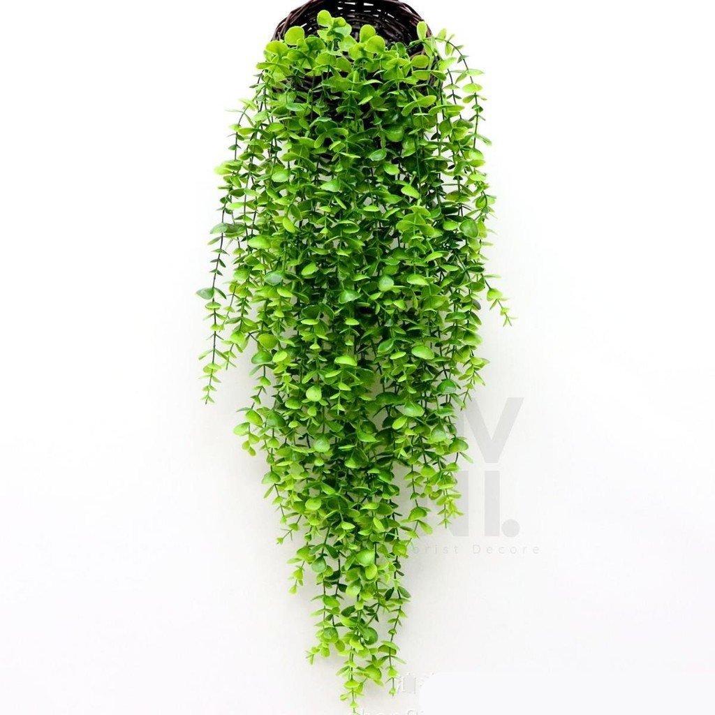 DAUN DOLLAR JUNTAI 95CM 5 CABANG DAUN DOLLAR PLASTIK BUNGA GANTUNG DAUN RAMBAT HIAS DEKORASI