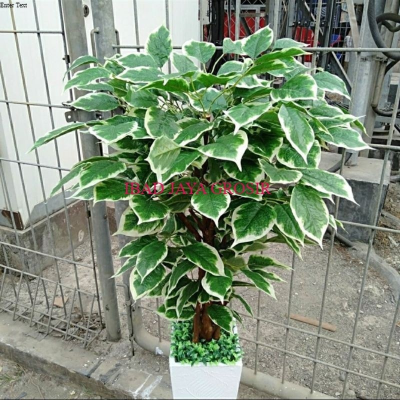 Jual pohon Xing fu 120cm- pohon plastik- pohon artificial- pohon ...