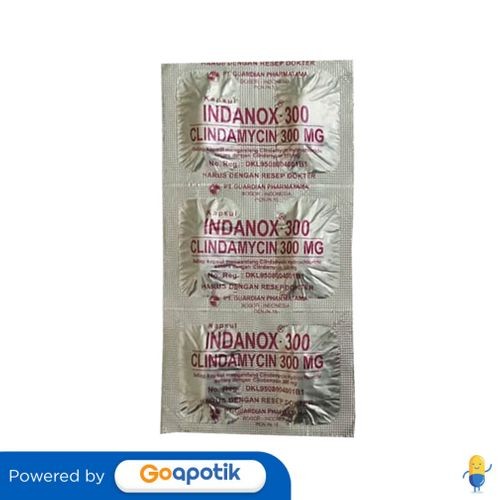 Jual Indanox 300 Mg Strip 6 Kapsul | Shopee Indonesia