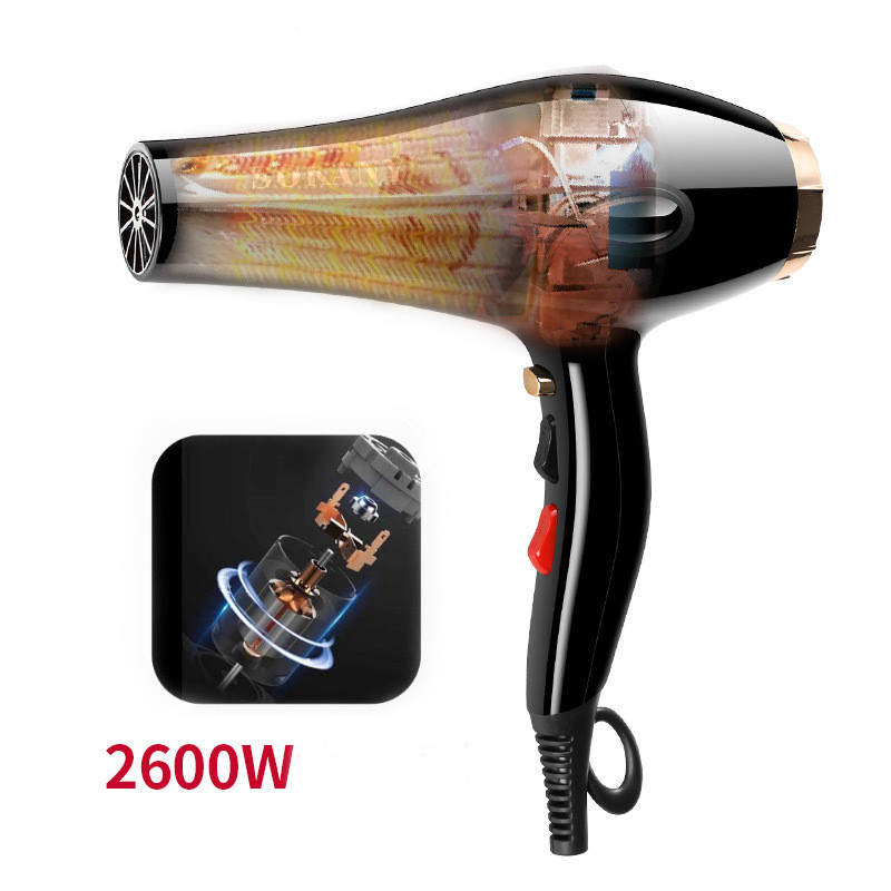Jual Electric Professional Hair Dryer Salon With Nozzle Ionic Secador ...