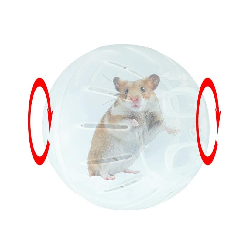 View of Jual Hamster Ball Exercise Wheel Jogging Balls For Hamsters Safe ...