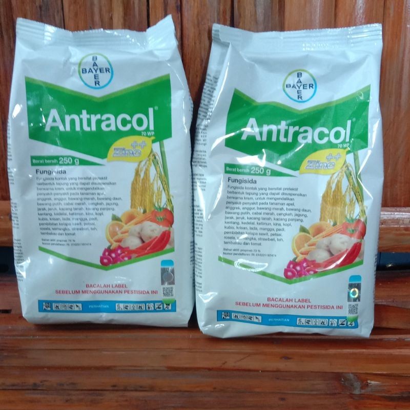 Jual FUNGISIDA ANTRACOL KEMASAN 250GRAM DAN 500GRAM 100% original ...