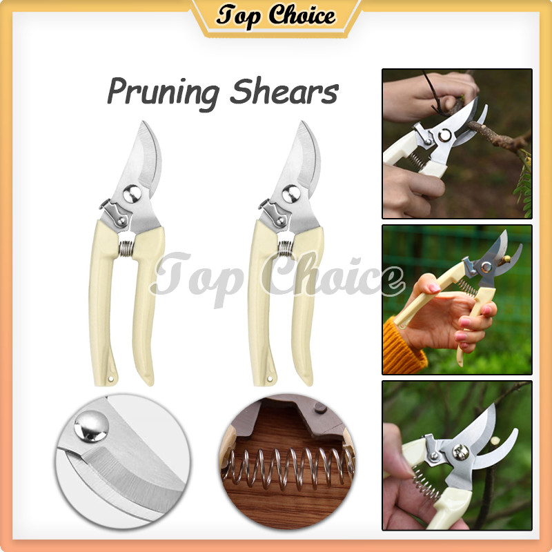Jual Ranting Tanaman Pruning Shears / Scissors Curve / Pruning Shears ...