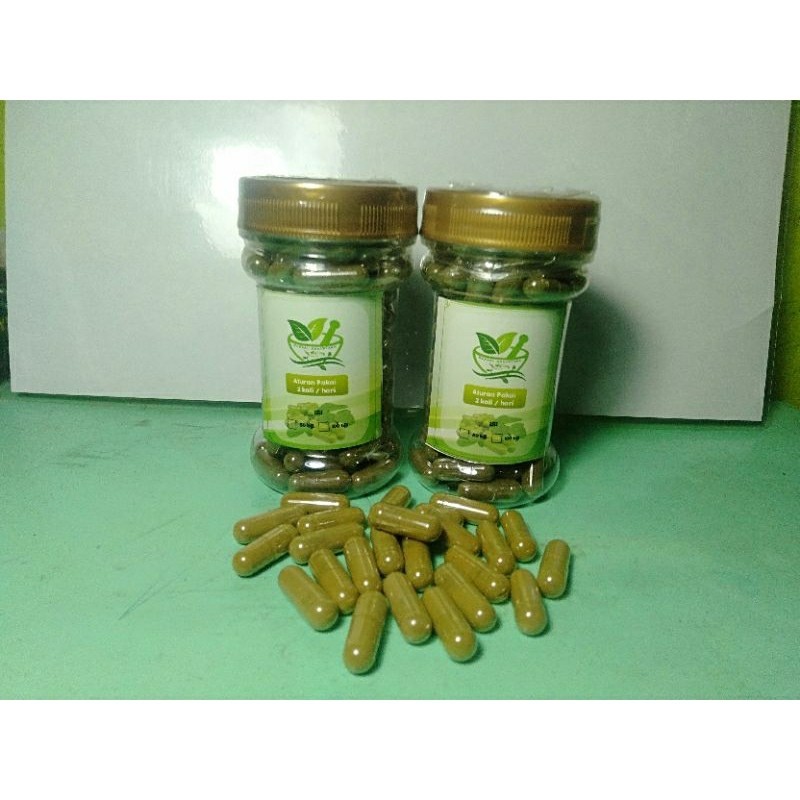 Kapsul daun salam asam urat kolestrol 100 butir