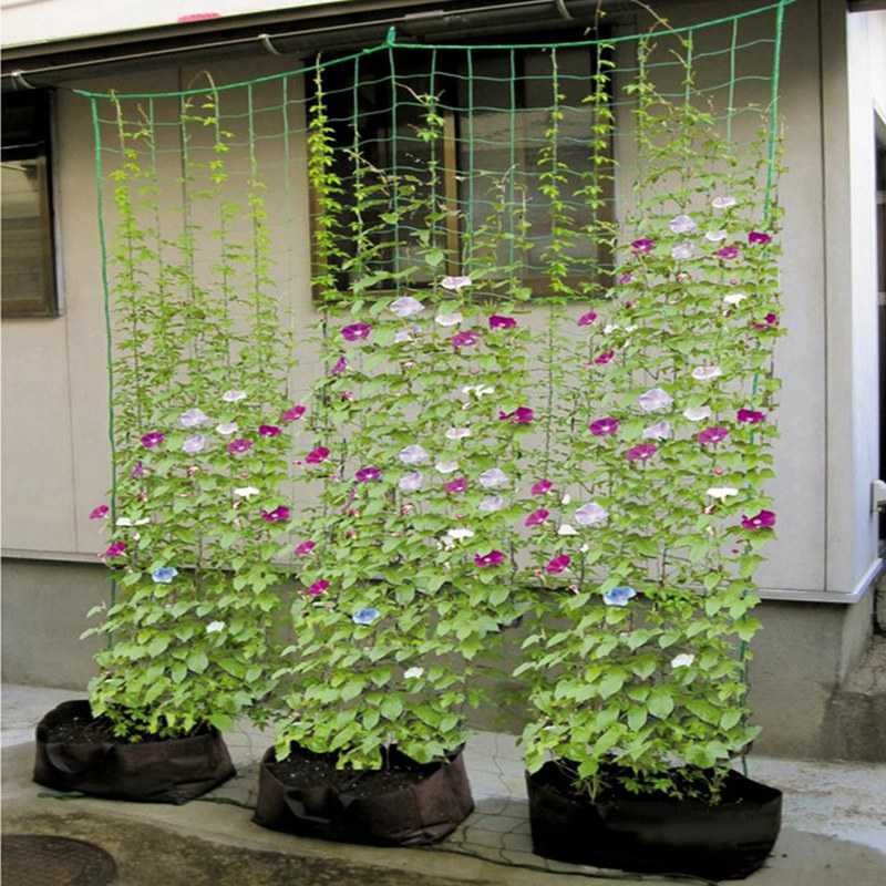 Jual Embelish Jaring Nilon Tanaman Rambat Plants Climbing Net 180x180cm ...