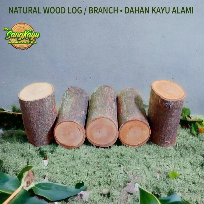 Jual Coated wood log 7-8 cm height 10 cm potongan kayu bahan craft ...