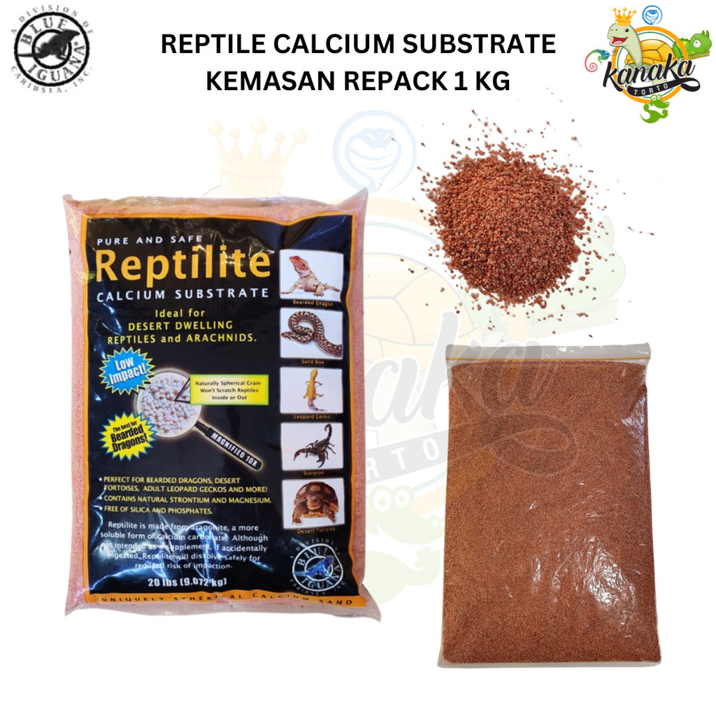 Jual CARIBSEA Reptilite Sand REPACK 1 Kg Alas Kandang Pasir Bearded ...