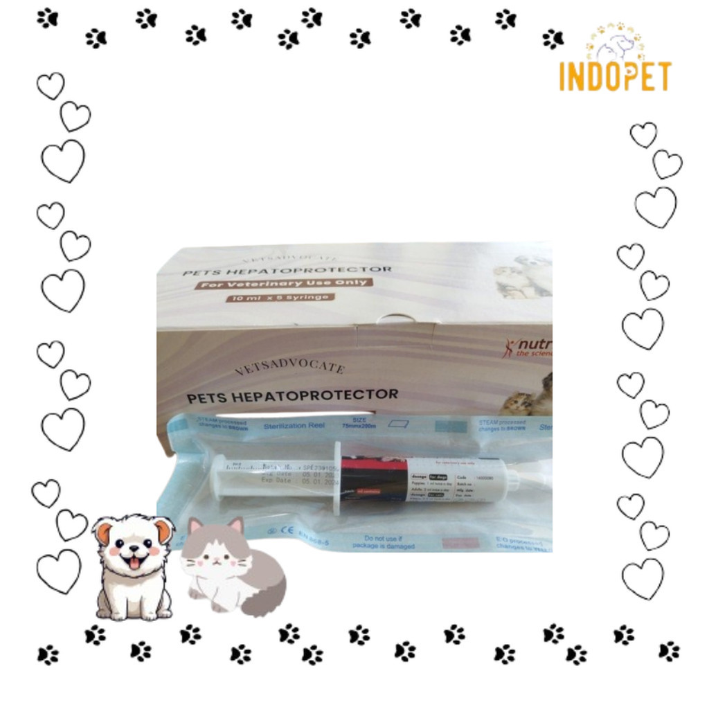 Jual VETS ADVOCATE PETS HEPATO PROTECTOR 10ML X 5 SYRINGE | Shopee ...