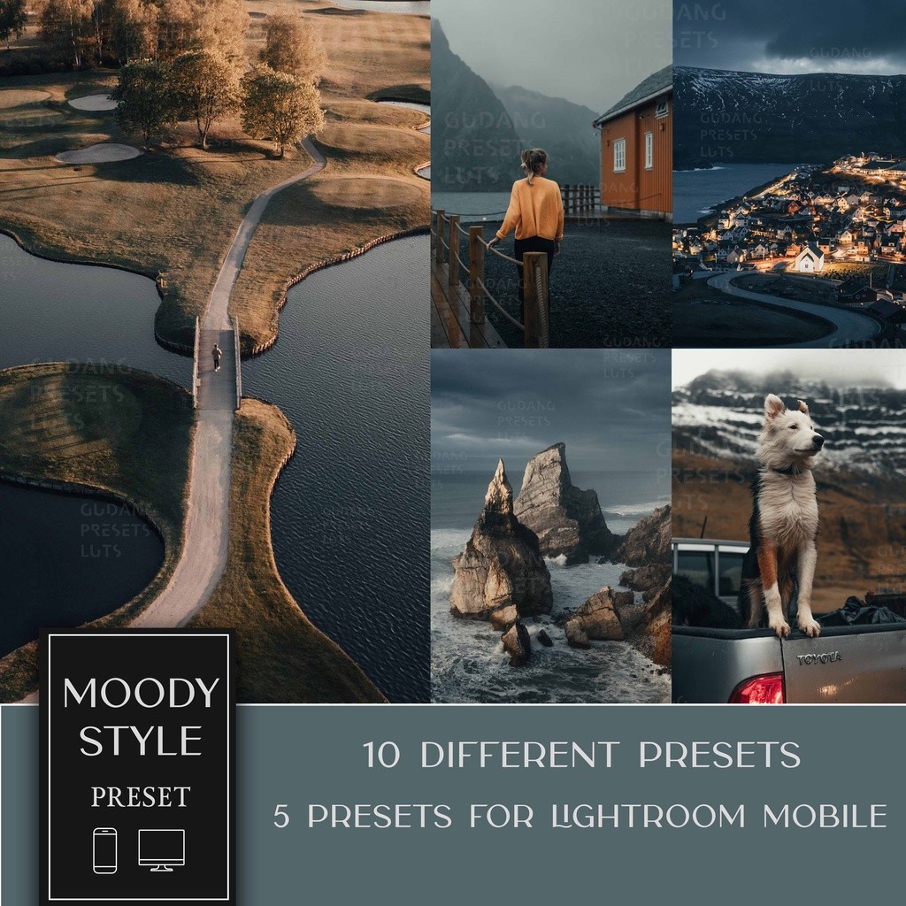 Jual Moody Style Lightroom Premium Presets Mobile Desktop IOS Android ...