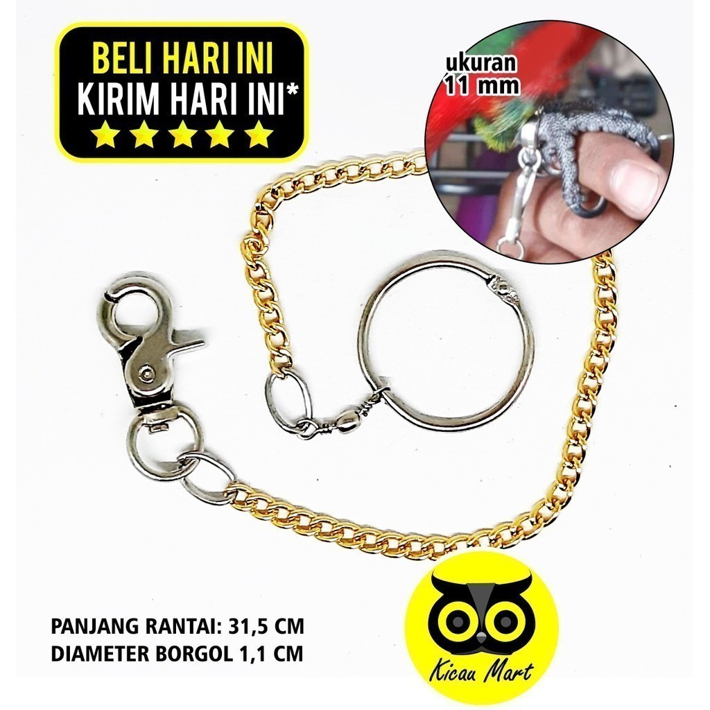 Jual RANTAI BORGOL UJUNG BESI RING PENGAMAN IKAT KAKI BURUNG NURI BEO ...