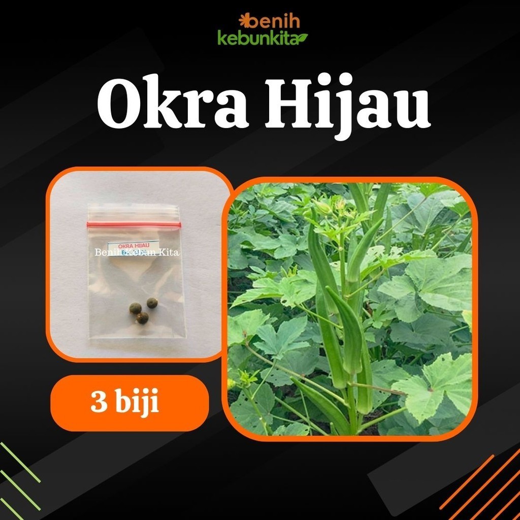 Jual Biji Benih Bibit Tanaman Sayuran Okra Hijau Uggul Berkualitas Shopee Indonesia