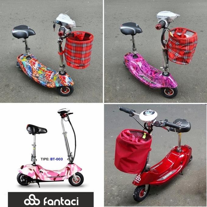 Jual promo spesial Sepatu Roda Skateboard Skuter Listrik / Electric ...