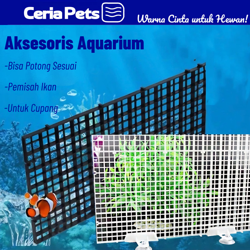 Jual Pemisah Ikan Aquarium Plastik Bisa Dipotong 4 Penghisap Kuat Anti ...