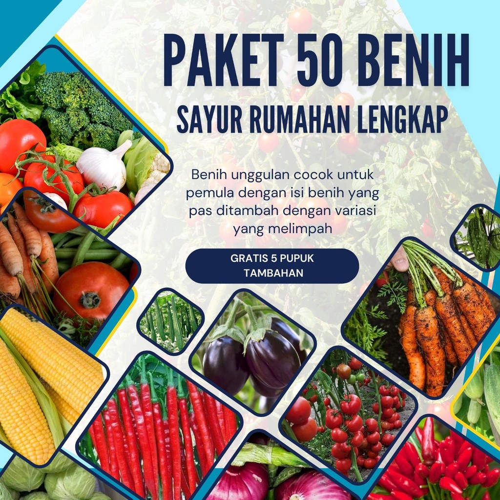 Paket Komplit Benih Sayuran 50 Jenis untuk Hobi, Konsumsi Pribadi, dan Usaha 50 Jenis Benih Sayuran – Siap Tanam & Panen Berlimpah
