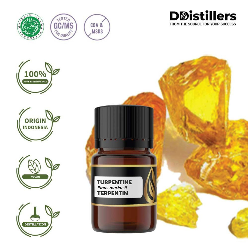 Jual Turpentine / Terpentin Essential Oil Pure 100%, VOLUME 2-10ML GS ...