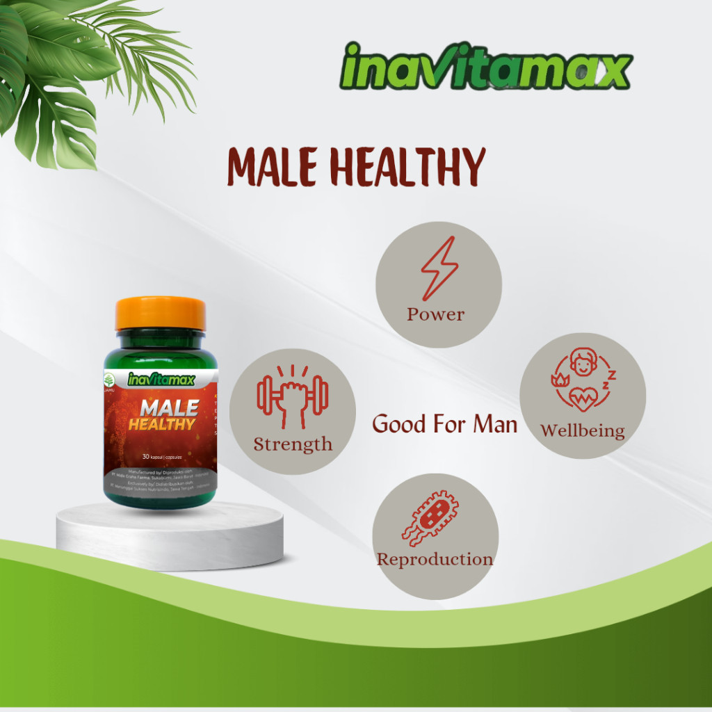 Jual INAVITAMAX MALE HEALTHY BTL 30 KAPSUL | Shopee Indonesia