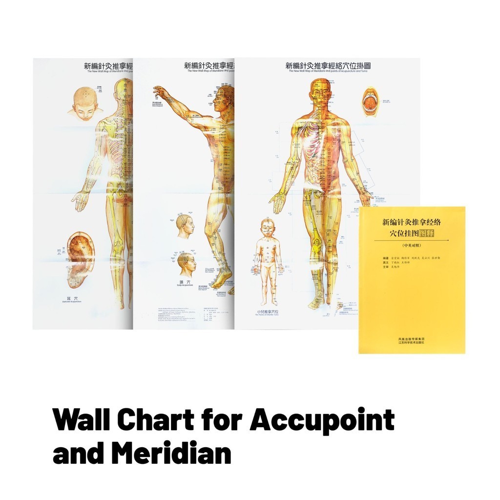 Jual Wall Chart For Accupoint and Meridian - Gambar Poster Titik ...