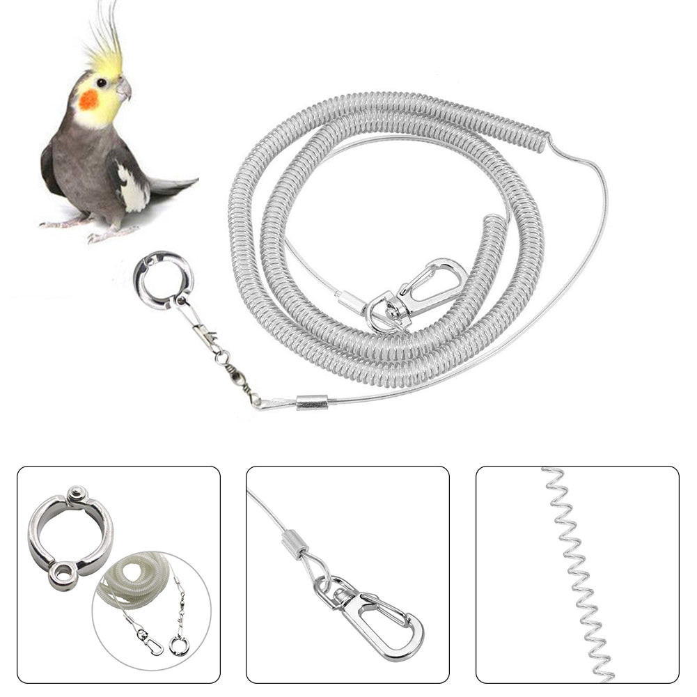 Jual 3M/6M Parrot Bird Flying Training Leash Ultra-light Flexible Rope ...