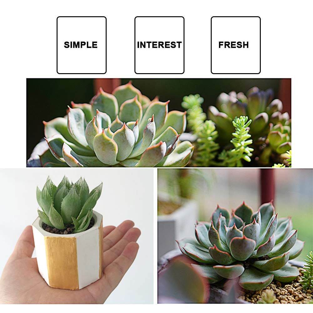 Jual Cetakan Pot Bunga 3 Hole Cetakan Pot Bunga Semen Cetakan Pot ...