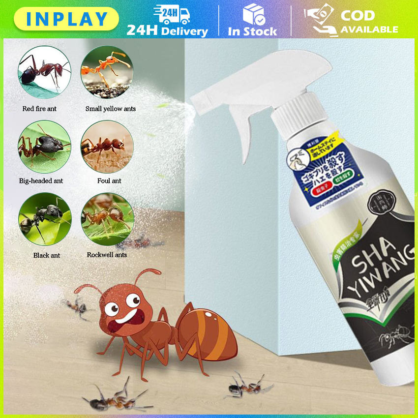 Jual 500ML Semprotan Rayap / Anti Rayap Racun / Termite Control Ampuh ...