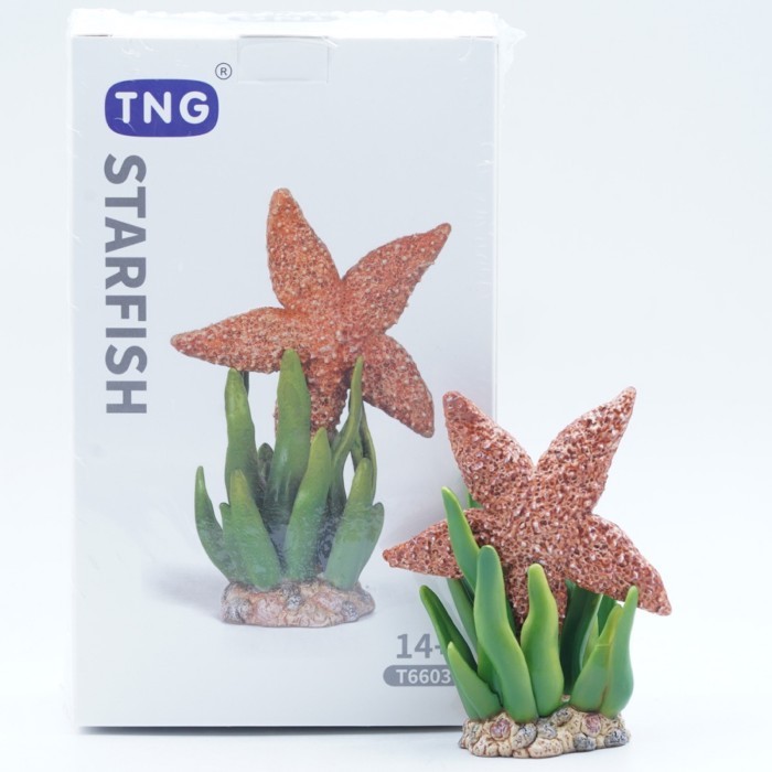 Jual TNG STARFISH ASTEROIDEA Bintang Laut Star Fish Mainan Ikan Fish ...